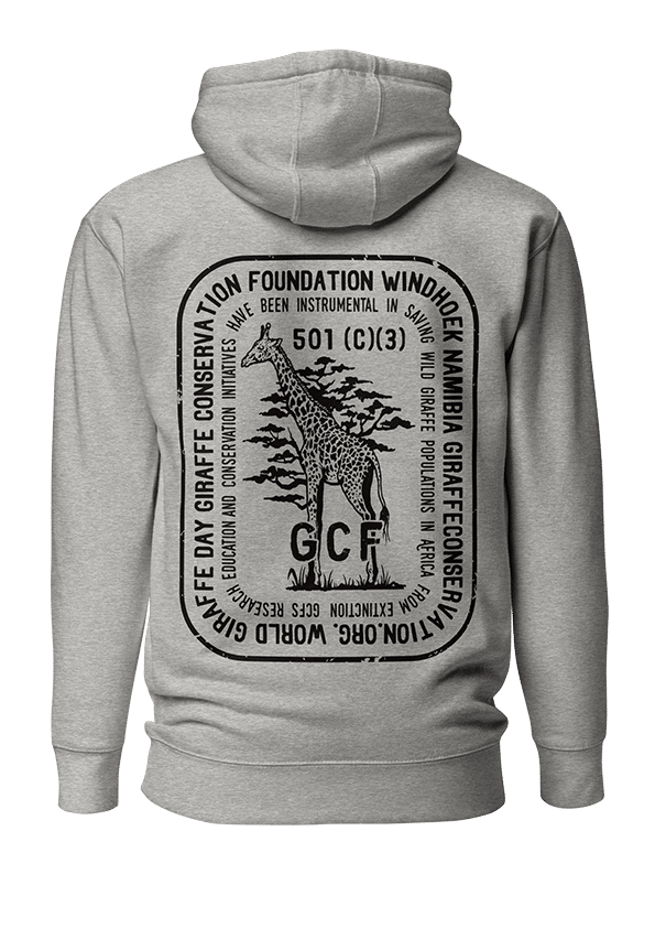 merch_0000s_0008_unisex-premium-hoodie-carbon-grey-back-6630e6b87c4b9
