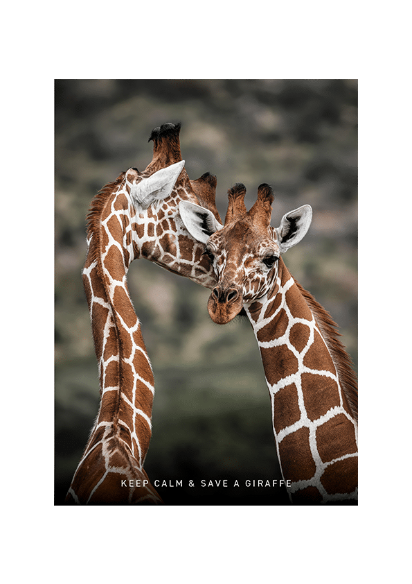 merch__0003s_0004_gcf-collection_holiday-prints5